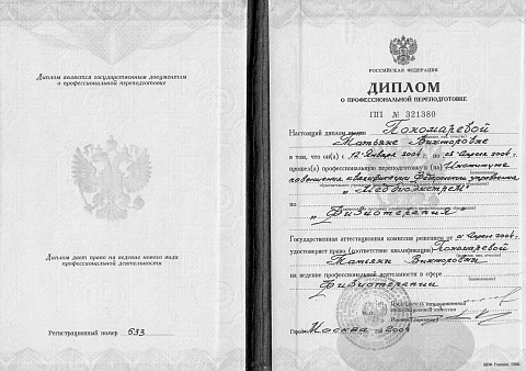 Образование
